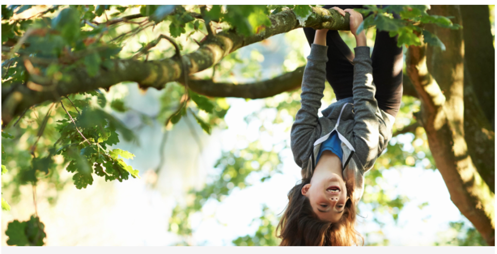 Por qué es importante que tu hijo se suba (solo), a un árbol.